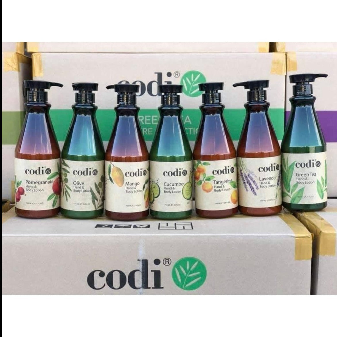 Codi Lotion 25oz (12pcs/case)